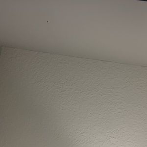 Meet your Posher, Faye!!